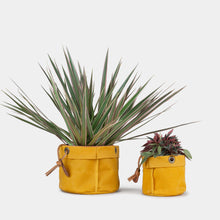 Load image into Gallery viewer, Medium Waxed Canvas Planter #100