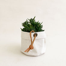 Load image into Gallery viewer, Small Canvas Planter #105
