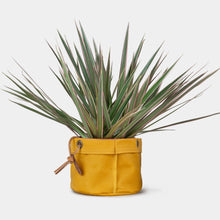 Load image into Gallery viewer, Hanging Planter