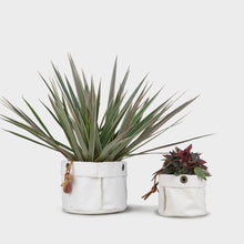 Load image into Gallery viewer, Hanging Planter