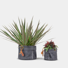 Load image into Gallery viewer, Medium Waxed Canvas Planter #104
