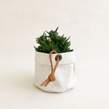 Load image into Gallery viewer, Small Canvas Planter #105
